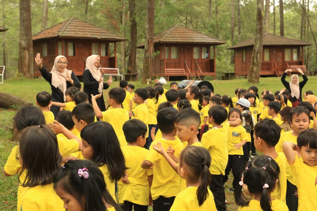 Amazing Camp 2024